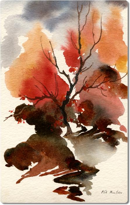 JapaneseMaple1