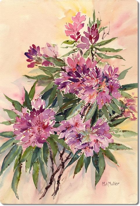 rhododendrons