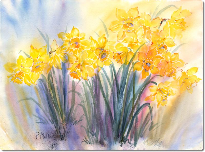 Daffodills3