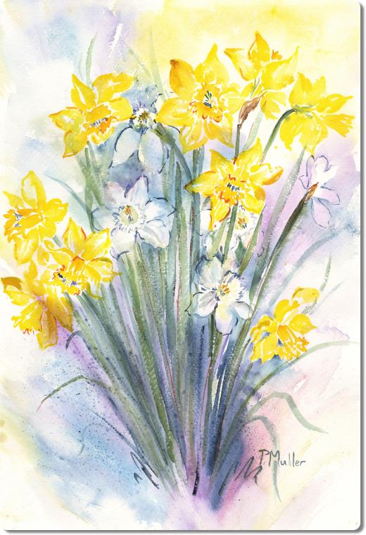 Daffodils4
