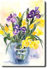 DaffodilsIrises